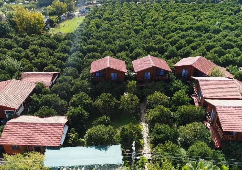 Bahçe Villa Hotel - photo 4