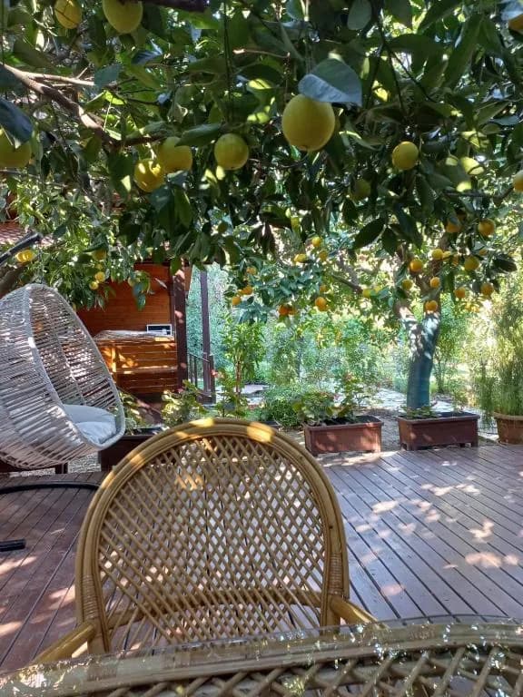 Bahçe Villa Hotel - photo 7