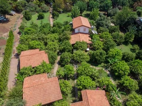 Baraka House Çıralı - photo 7