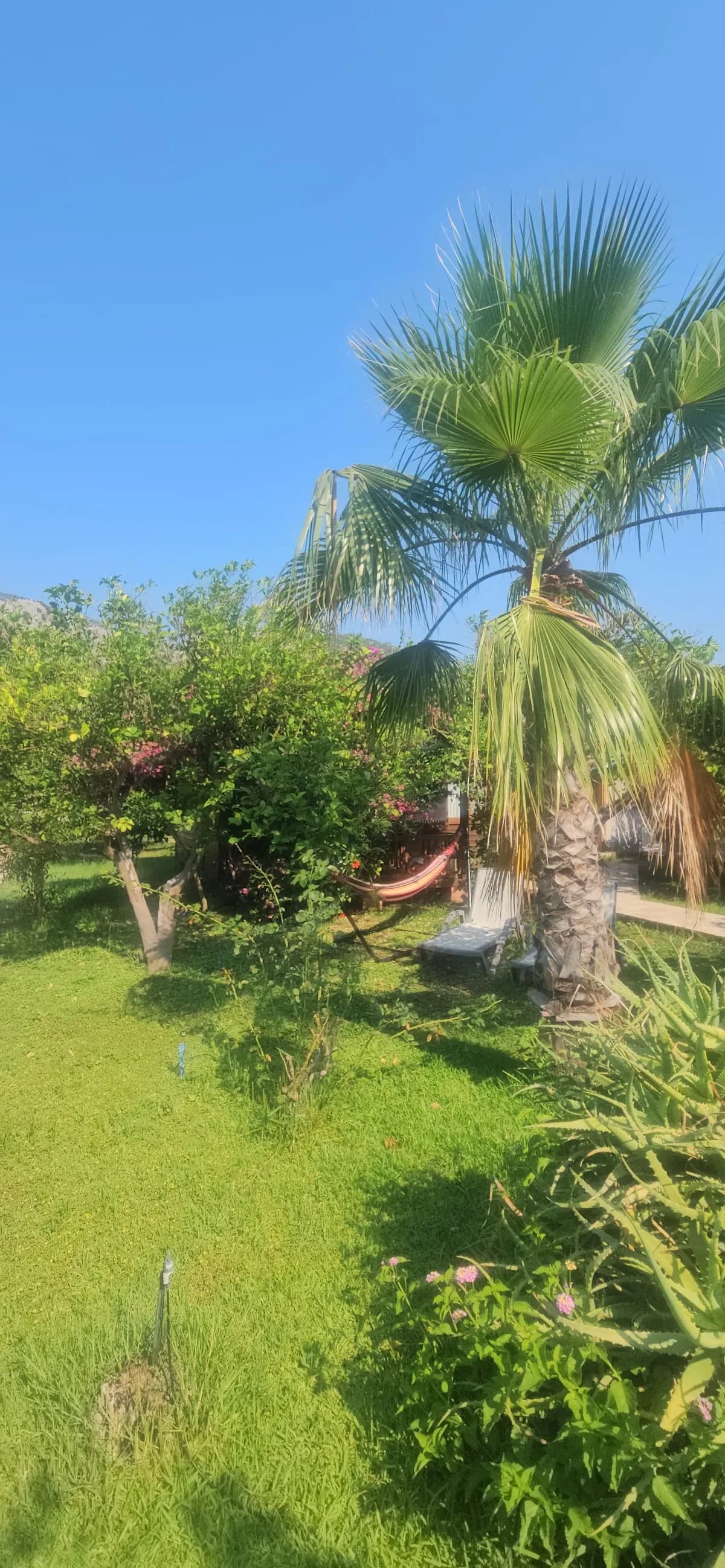 Baraka House Çıralı - photo 8