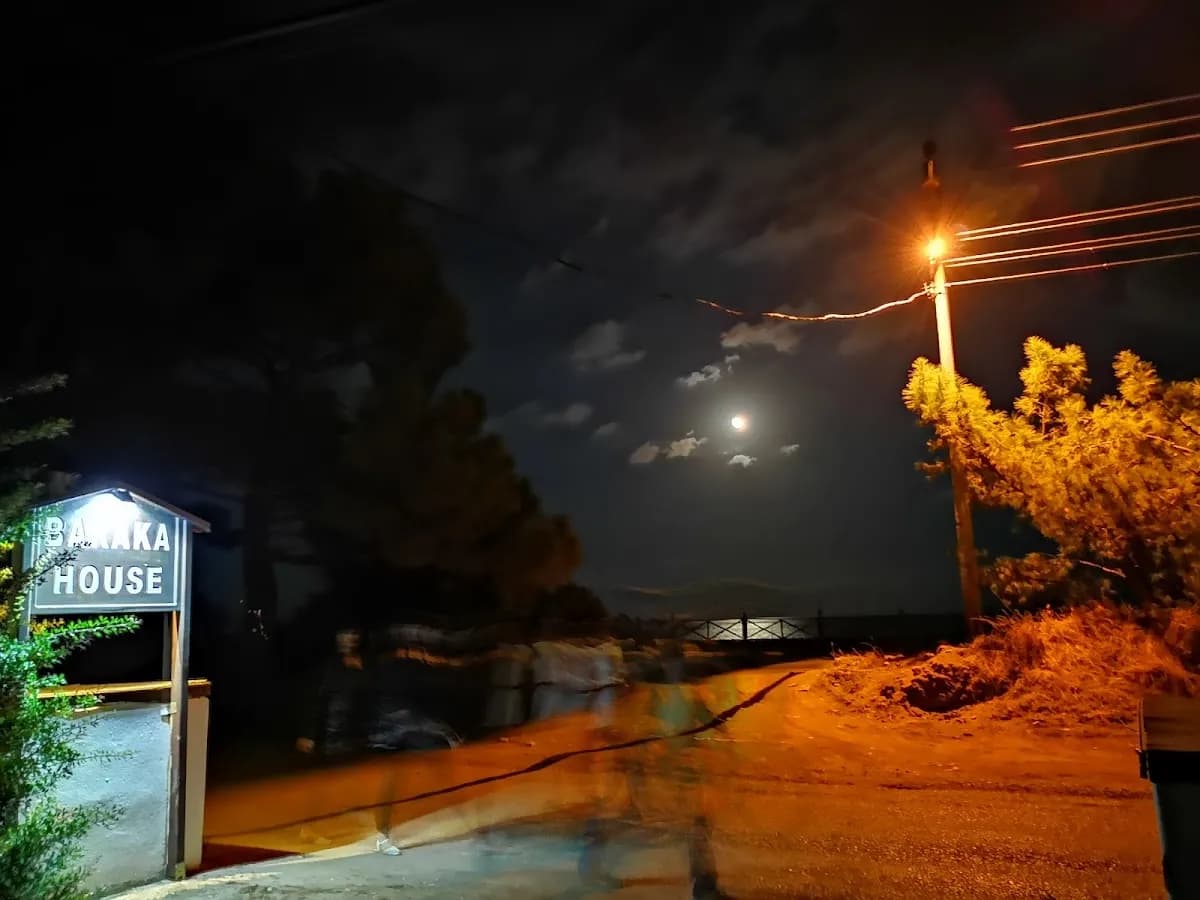 Baraka House Çıralı - photo 9
