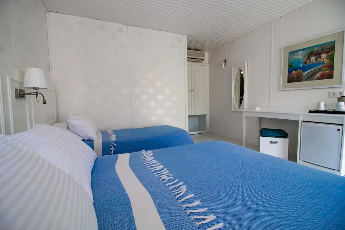 Blue & White Hotel - photo 6