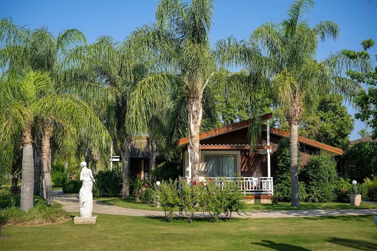 Çıralı Hera Hotel & Spa - photo 7