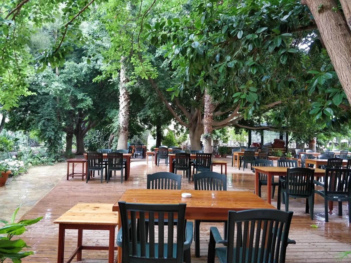 ÇIRALI Hotel - photo 7