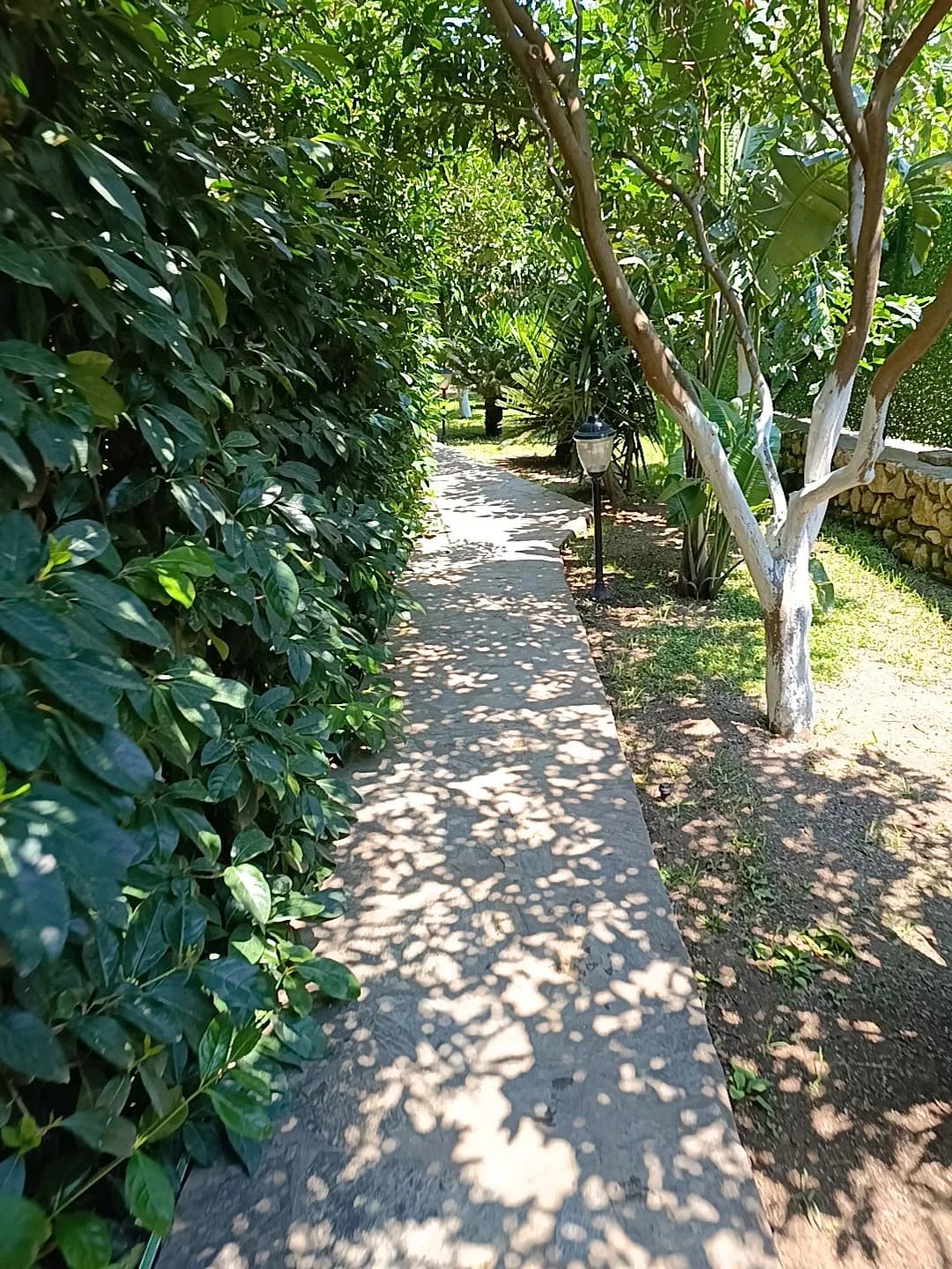 ÇIRALI Hotel - photo 10