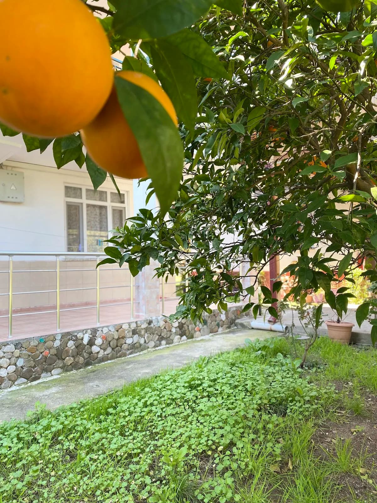 Çıralı Irmak Hotel - photo 3