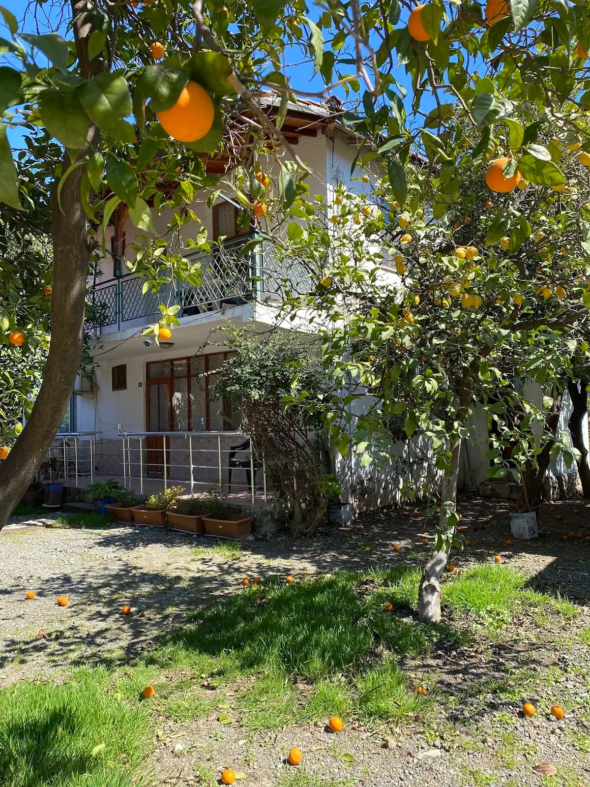 Çıralı Irmak Hotel - photo 4
