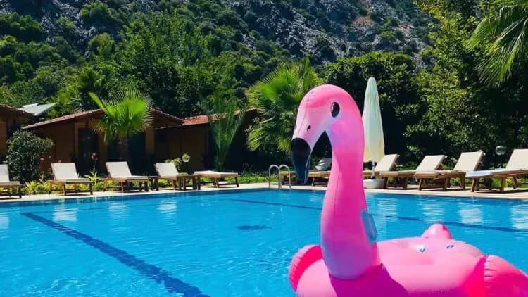 Çıralı Dolunay Apart Otel - photo 4
