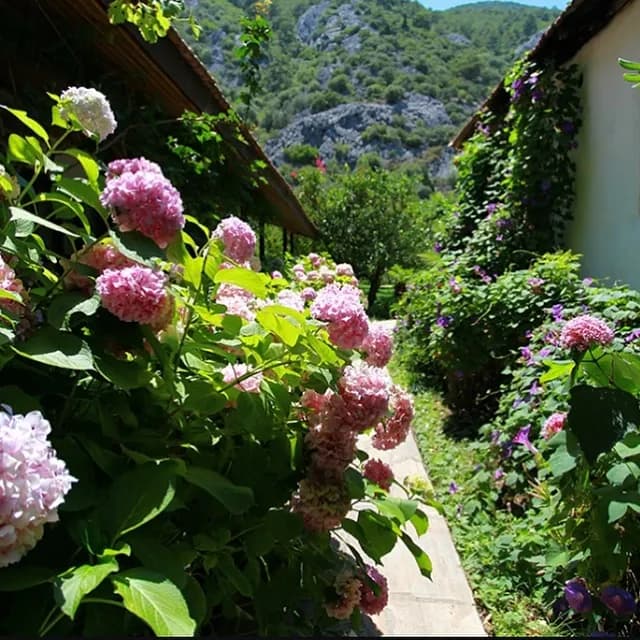 Çıralı Dolunay Apart Otel - photo 9