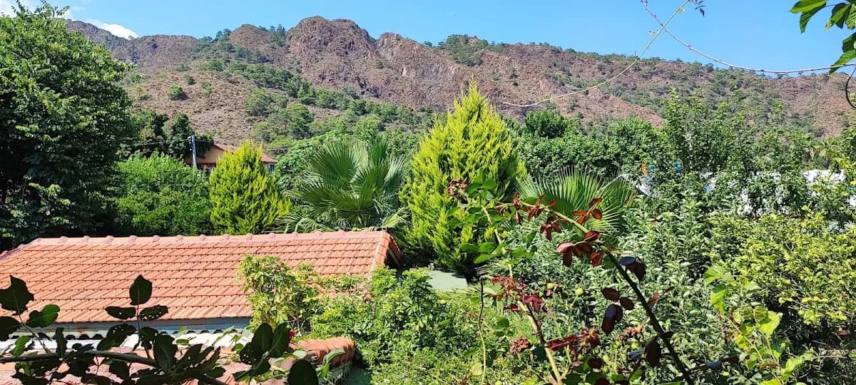 Çıralı Flora Pansion - photo 8