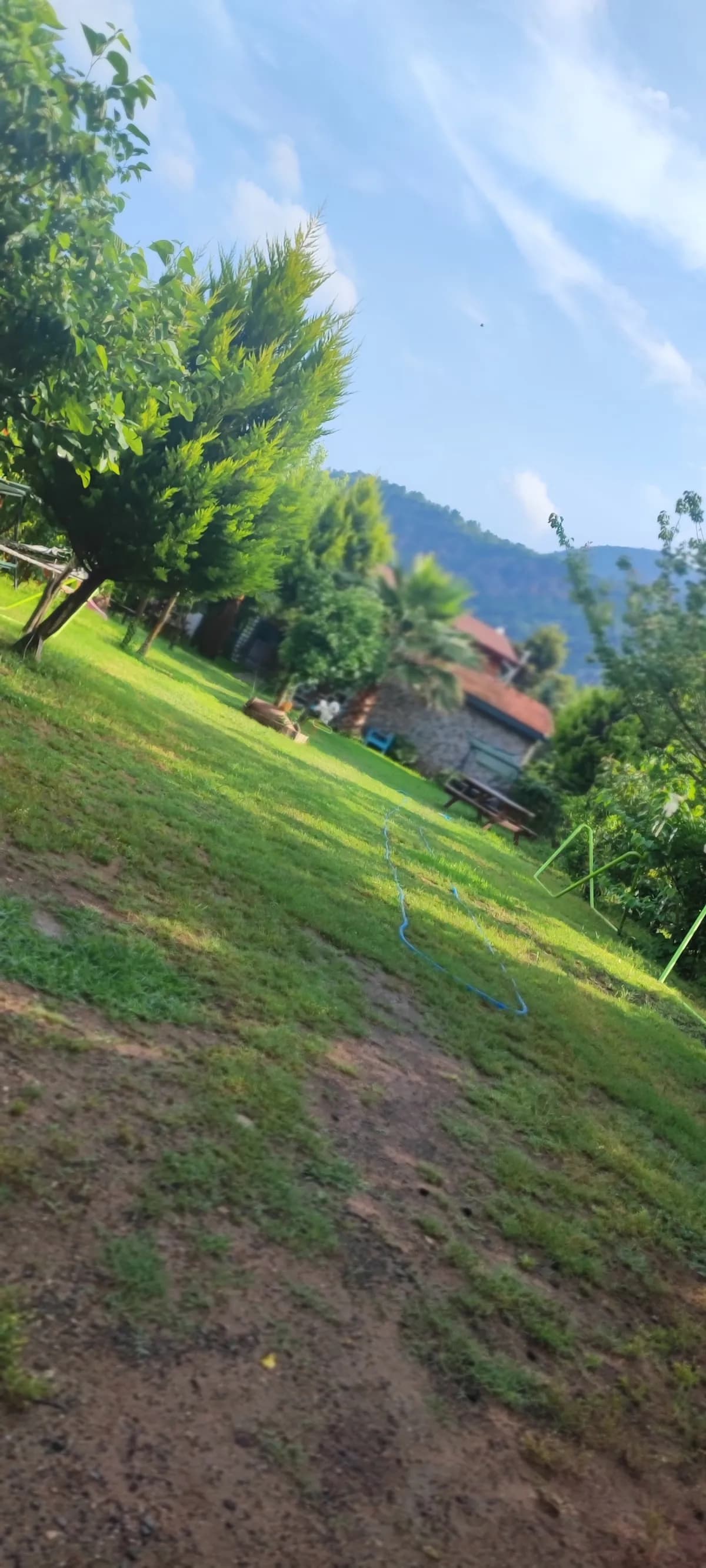 Çıralı Flora Pansion - photo 9