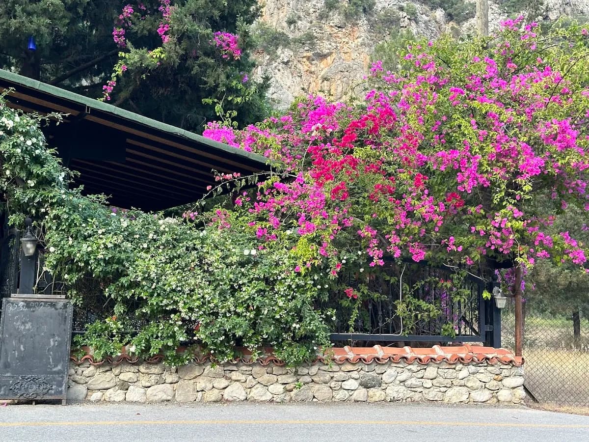 İpek Butik Otel - photo 8