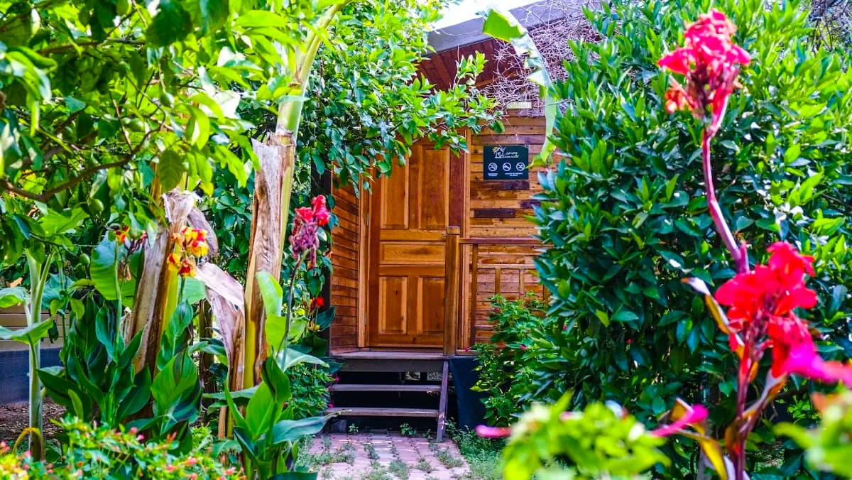 Lemon Garden Lodge - photo 4
