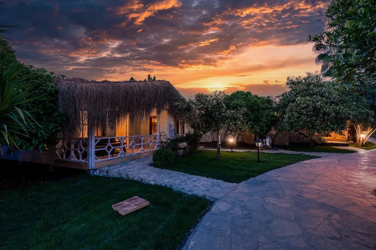 Naturelife Bungalows & SPA - photo 8