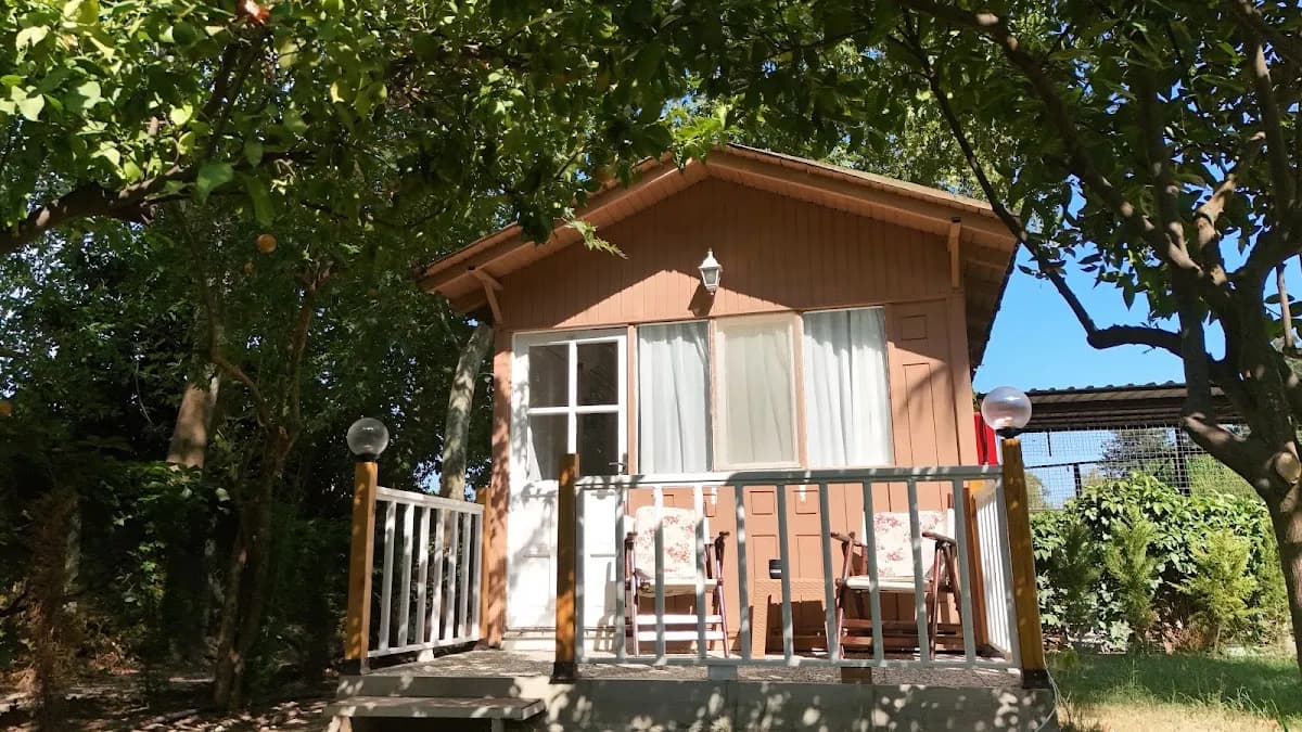 Okyanus Kıyısı Bungalov - photo 8