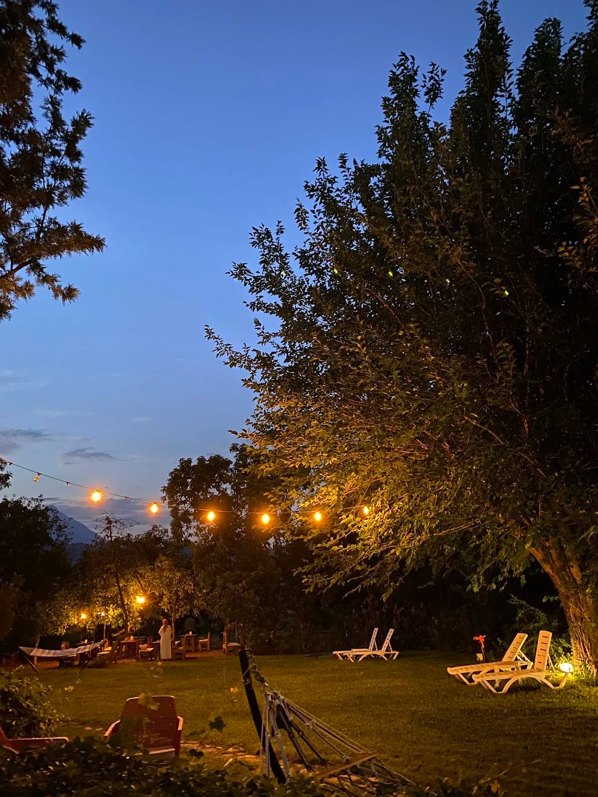 Pinea Pansiyon - photo 9