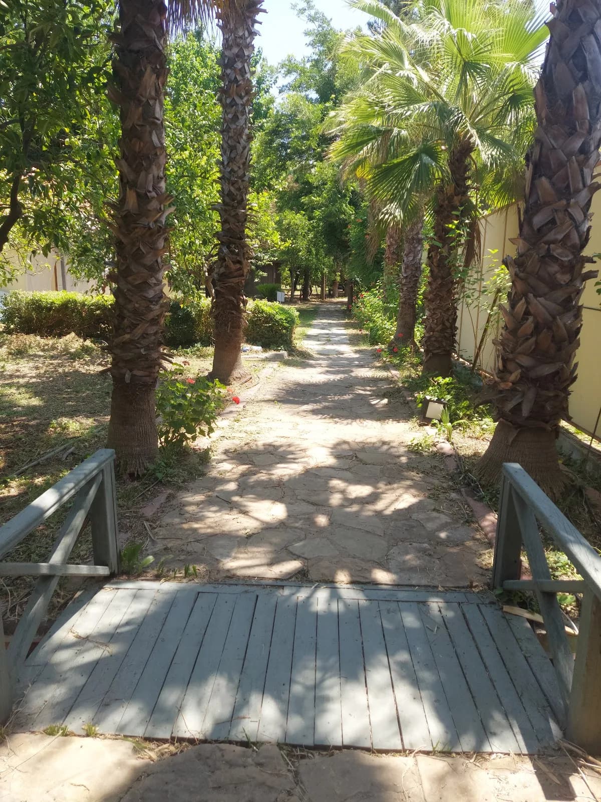 Pinea Pansiyon - photo 10