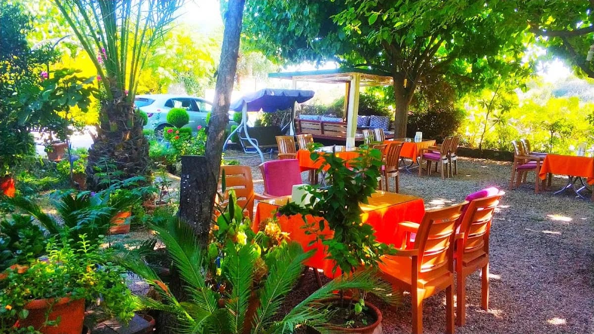 Plaj Otel - photo 6