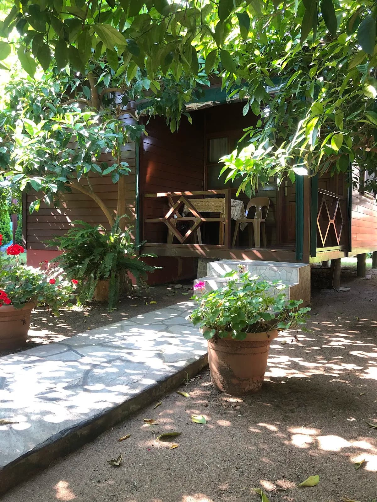 Plaj Otel - photo 9