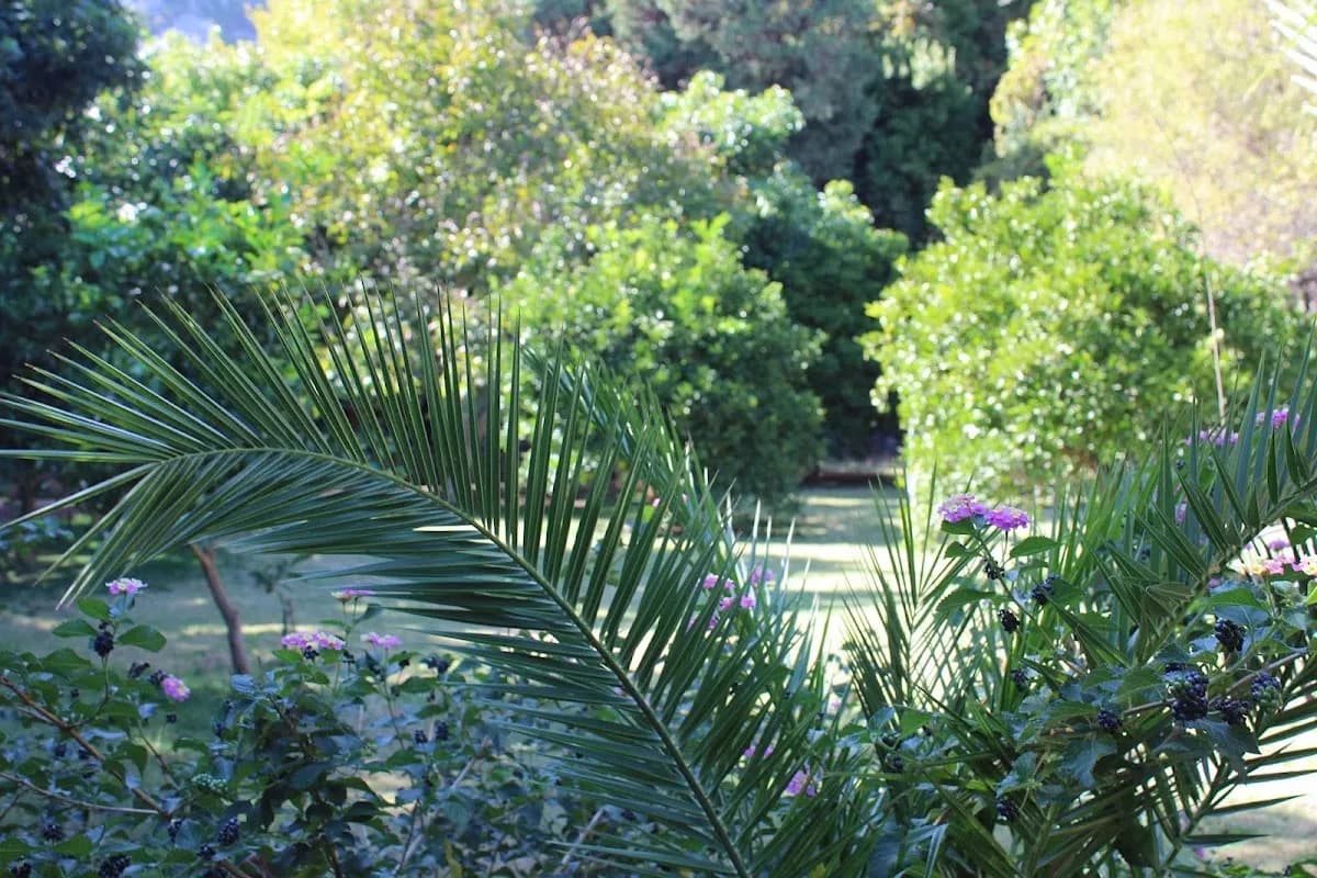 Simge Pansiyon - photo 8