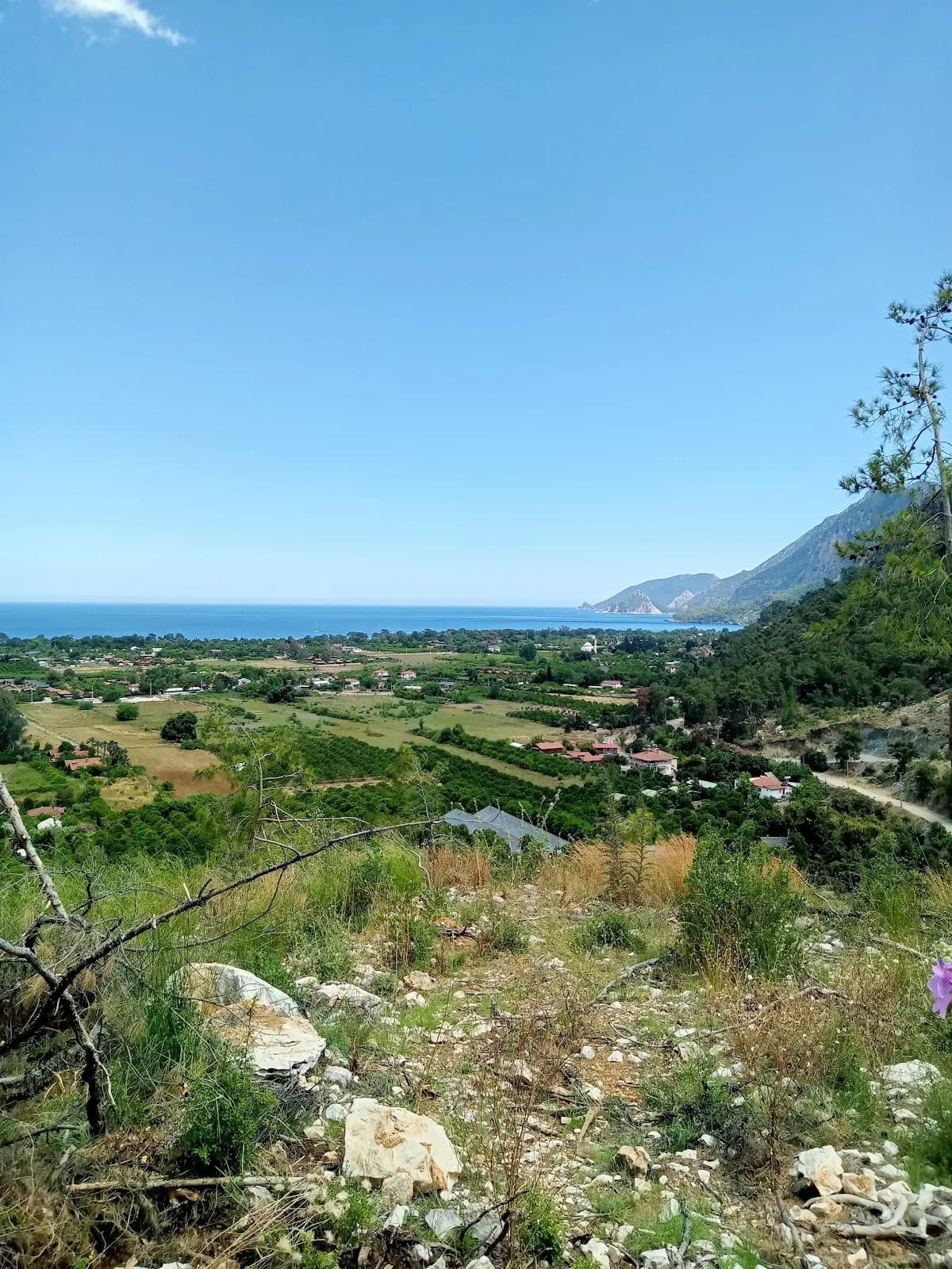 Tahta Villa Pension