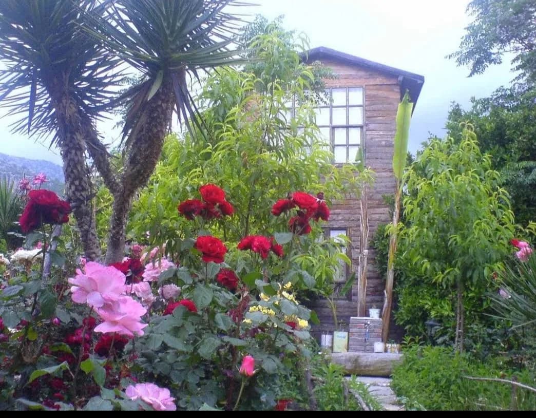 Tahta Villa Pension - photo 4