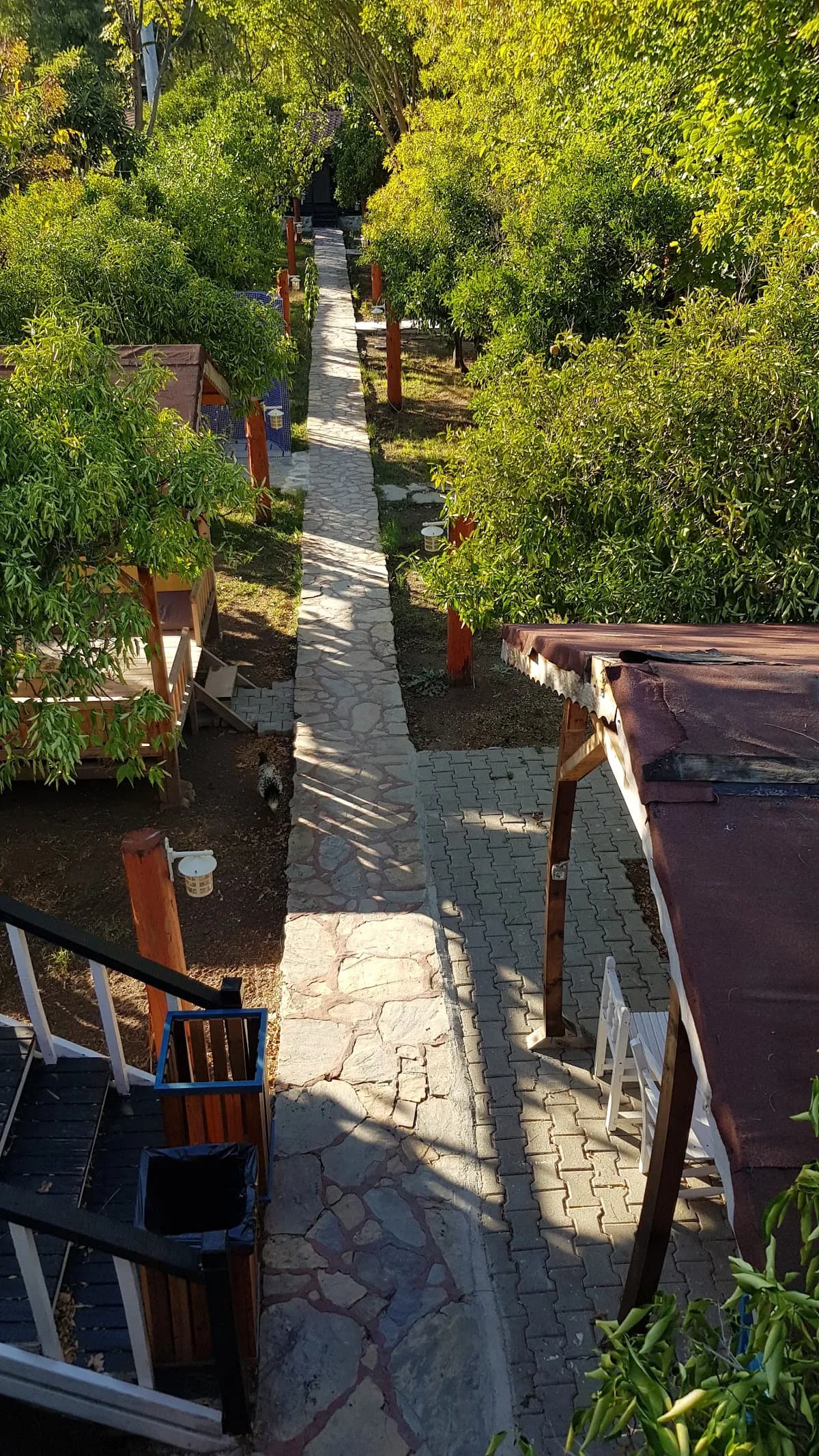 Tahta Villa Pension - photo 9