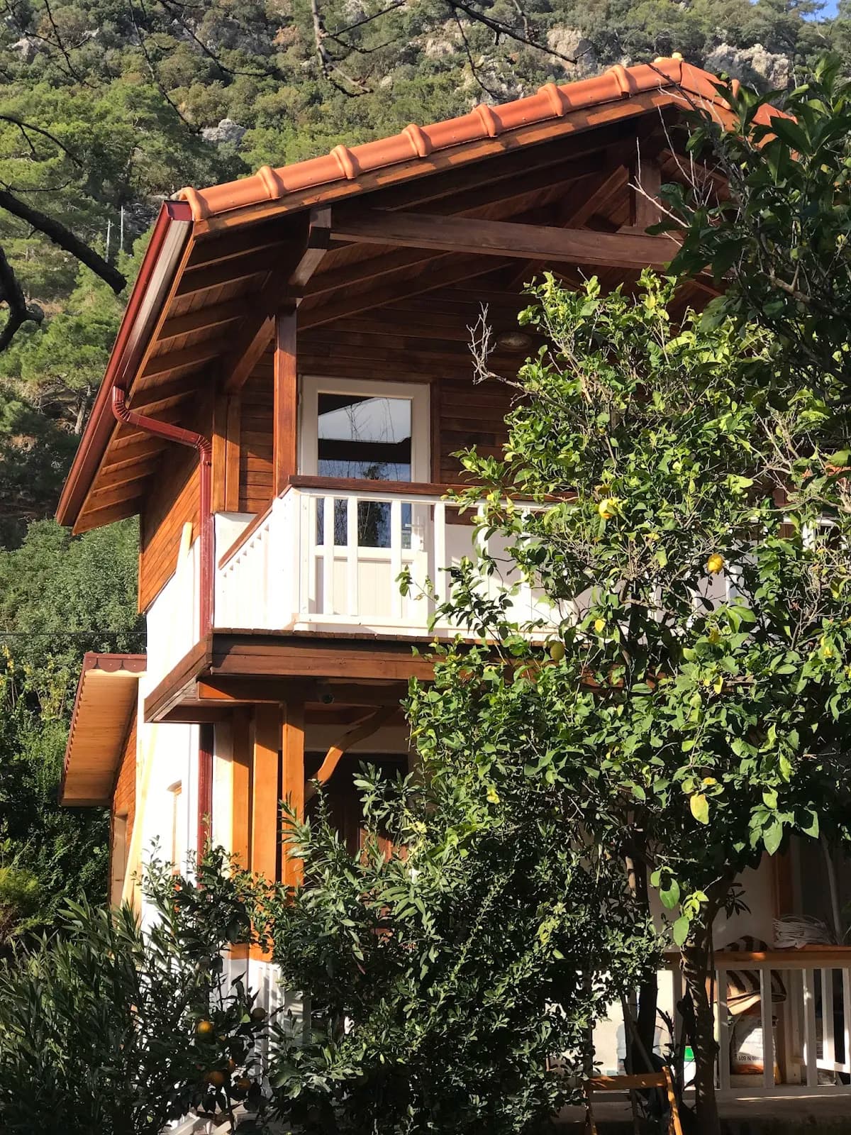 Villa Zeytin - photo 8