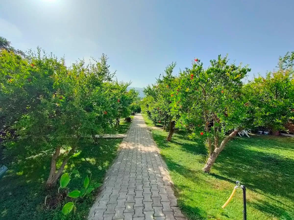 Yıldız Pansiyon Bungalov (Çıralı - Turkey) - photo 4