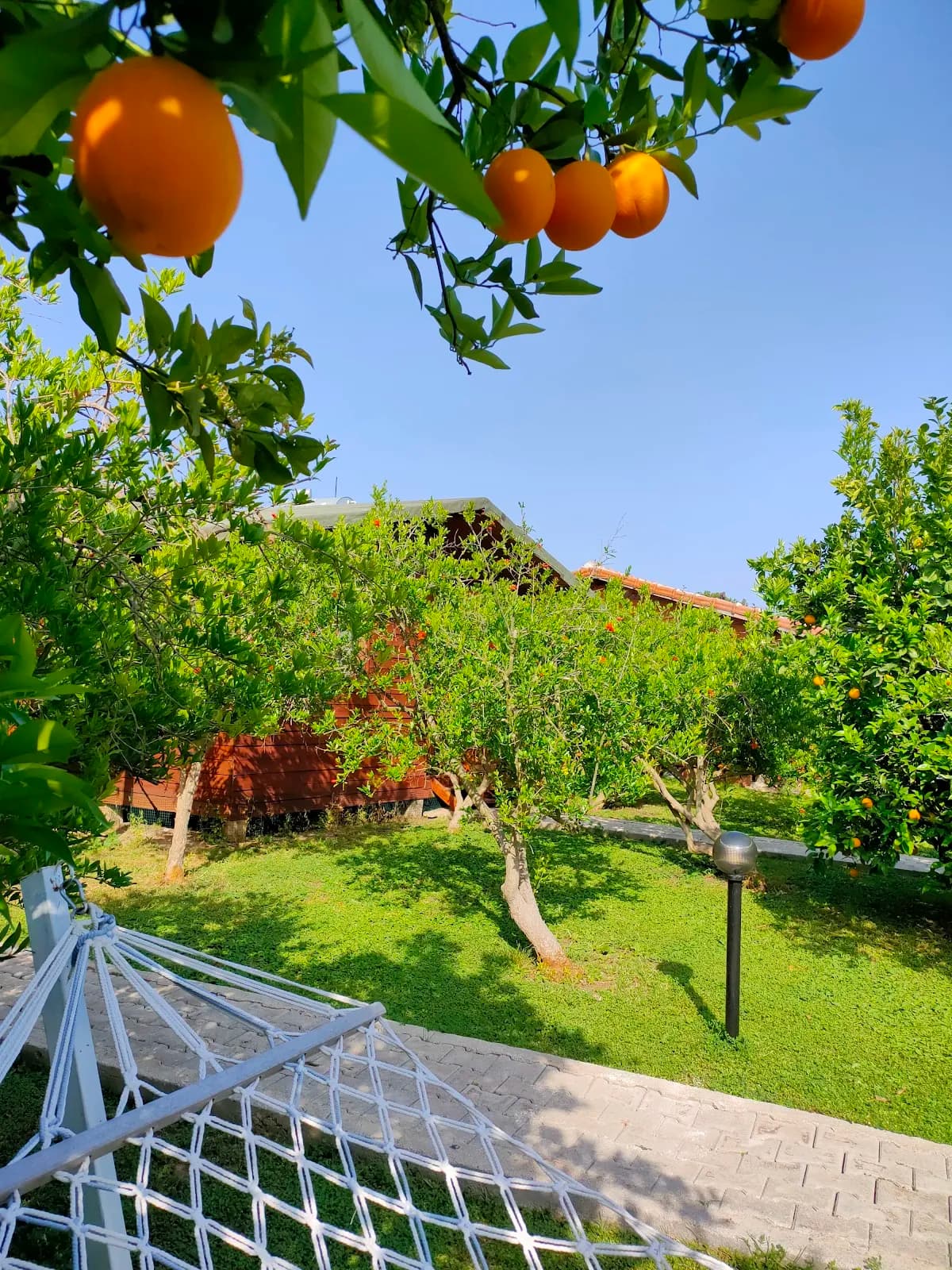 Yıldız Pansiyon Bungalov (Çıralı - Turkey) - photo 5