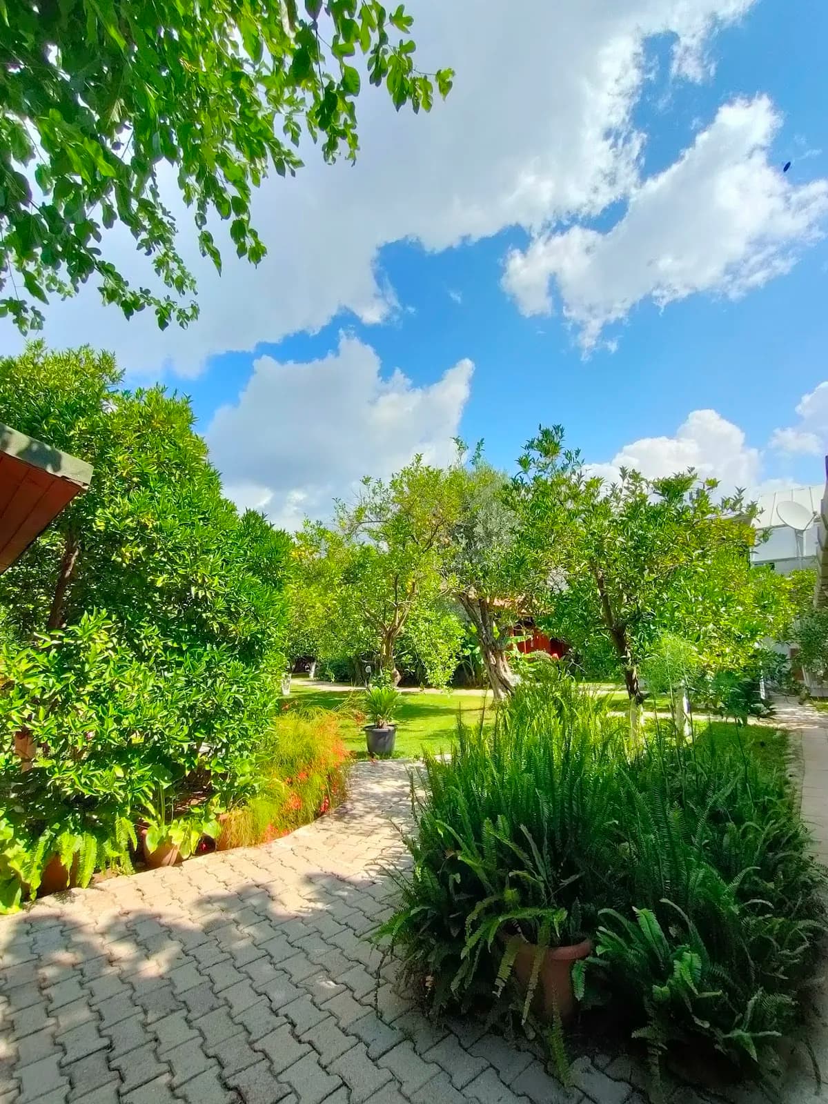 Yıldız Pansiyon Bungalov (Çıralı - Turkey) - photo 6