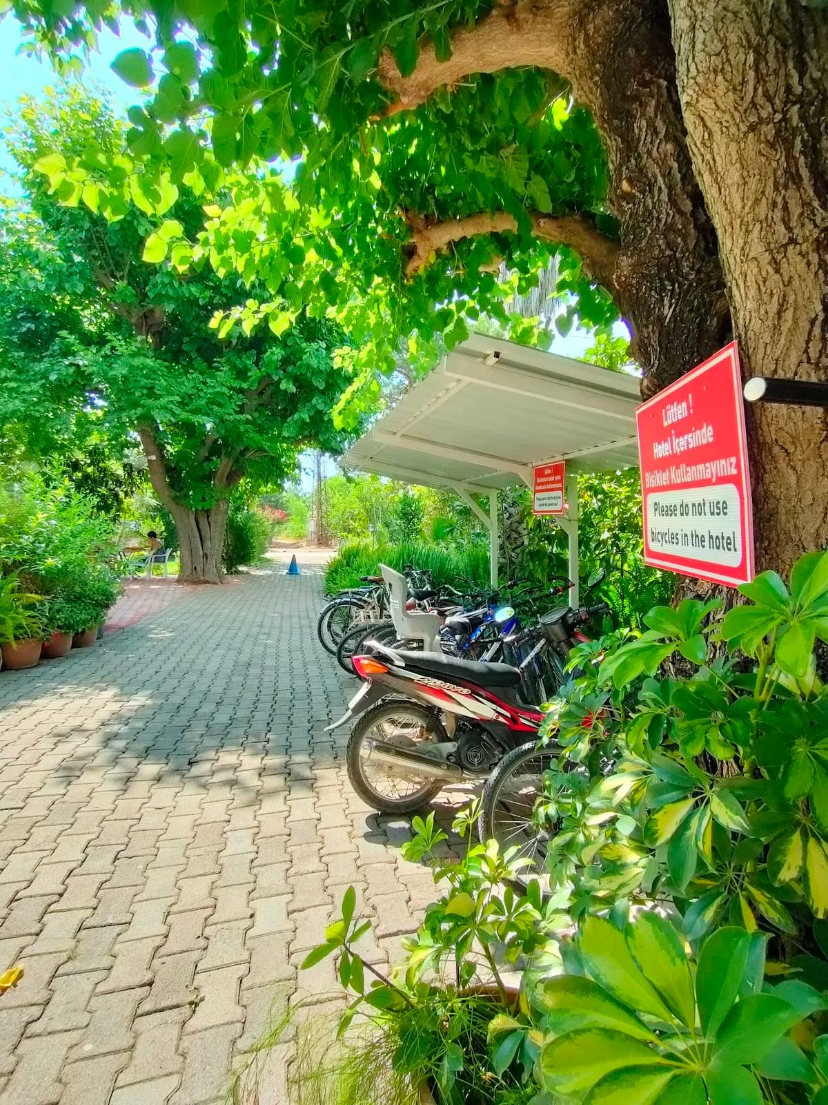 Yıldız Pansiyon Bungalov (Çıralı - Turkey) - photo 9