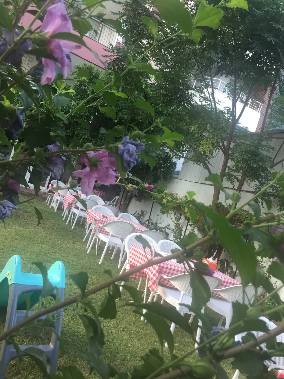 Deniz Hotel - photo 6
