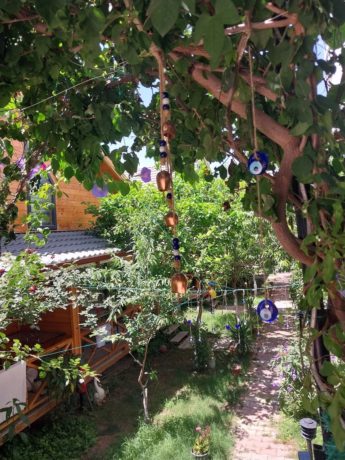 Denizim Apart Bungalov - photo 4