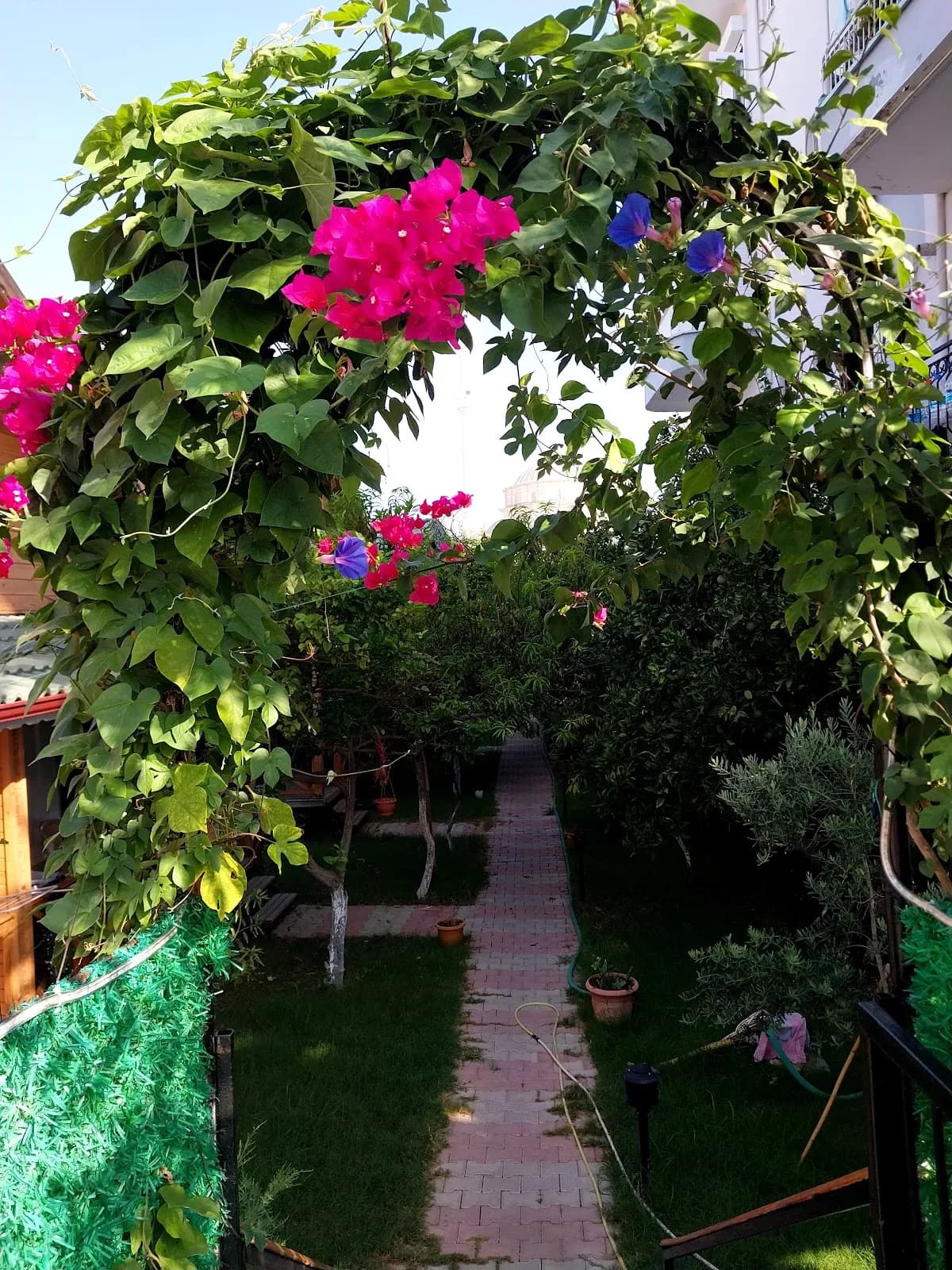 Denizim Apart Bungalov - photo 5
