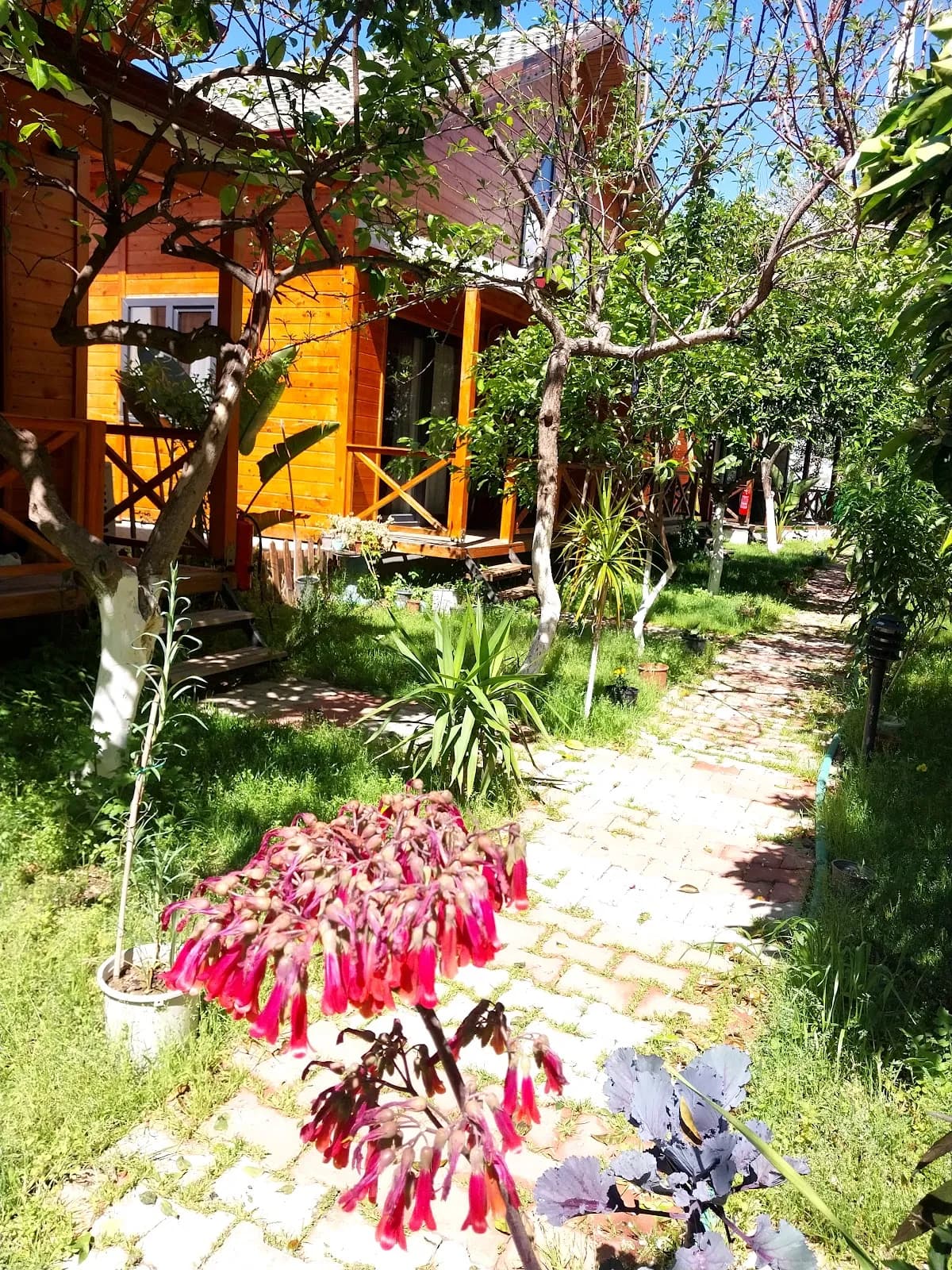 Denizim Apart Bungalov - photo 8