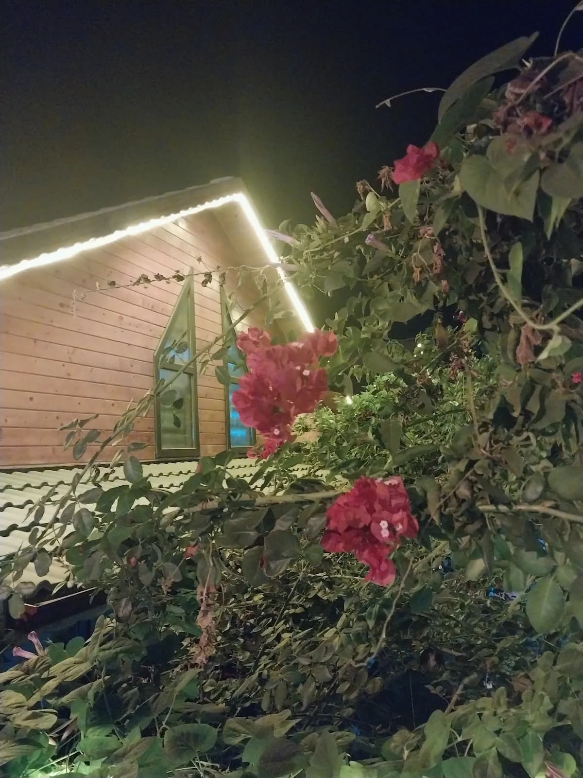Denizim Apart Bungalov - photo 10