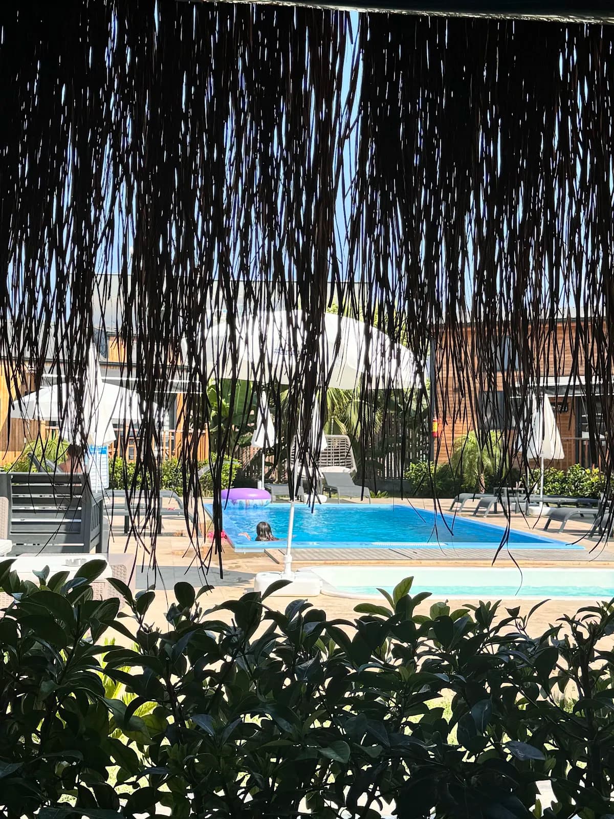 Hotel Palm House - photo 3