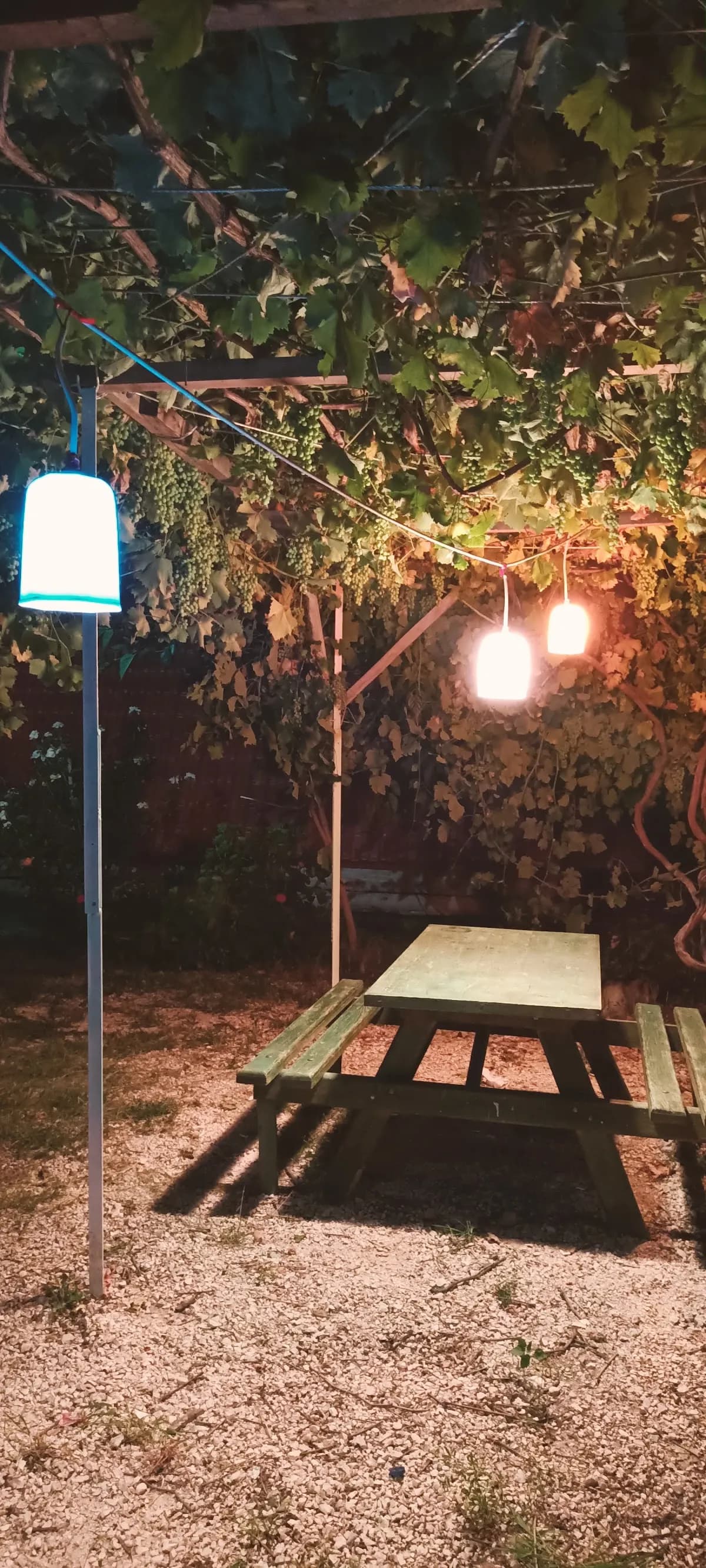 Köşk bungalow&cafe - photo 10