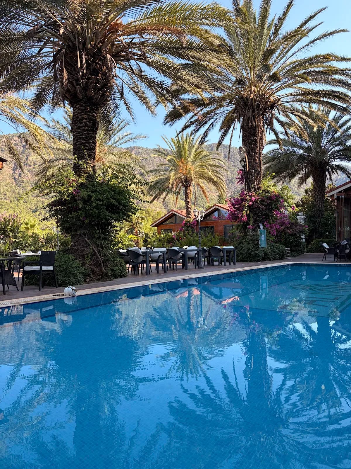 Palmira Hotel - photo 3