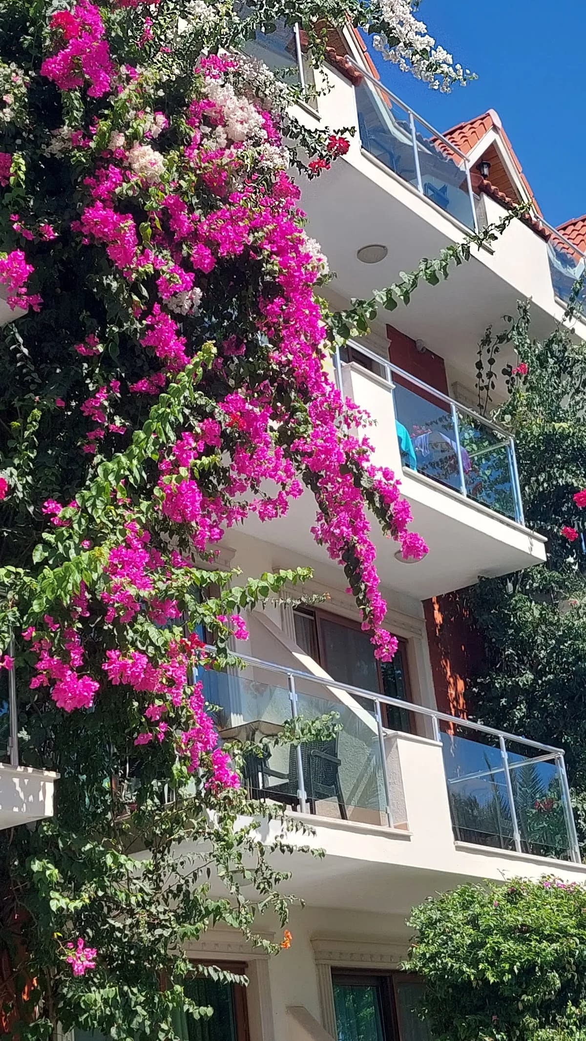 Palmira Hotel - photo 10