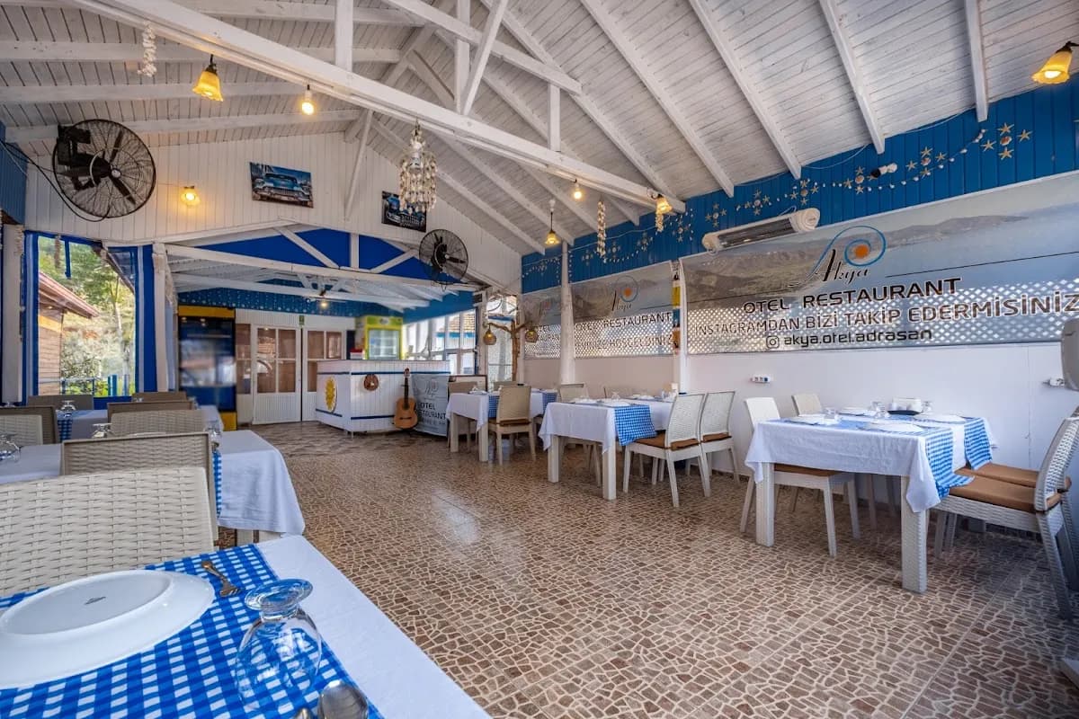 Yıldıran Akya Hotel Restaurant Bar - photo 6