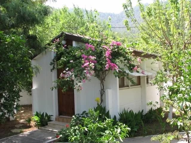 Meltem Otel Adrasan