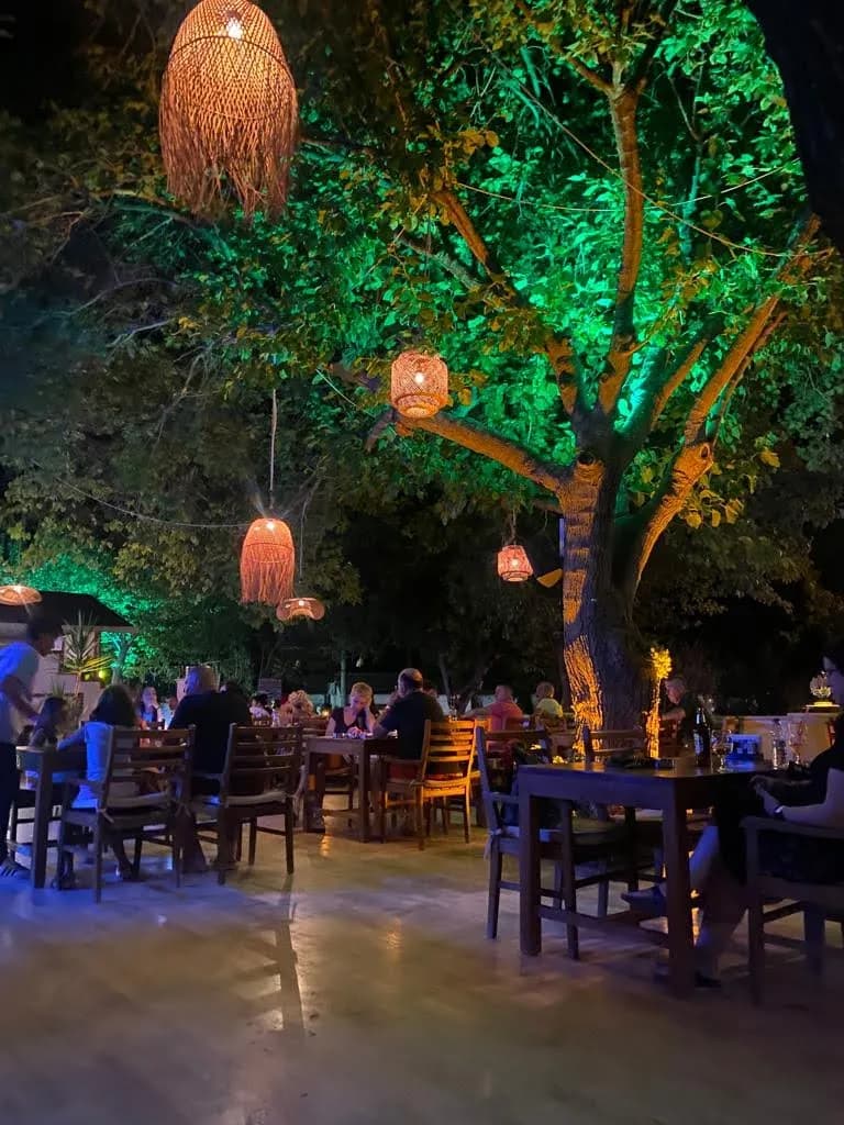 Zulu Adrasan Hotel - photo 10