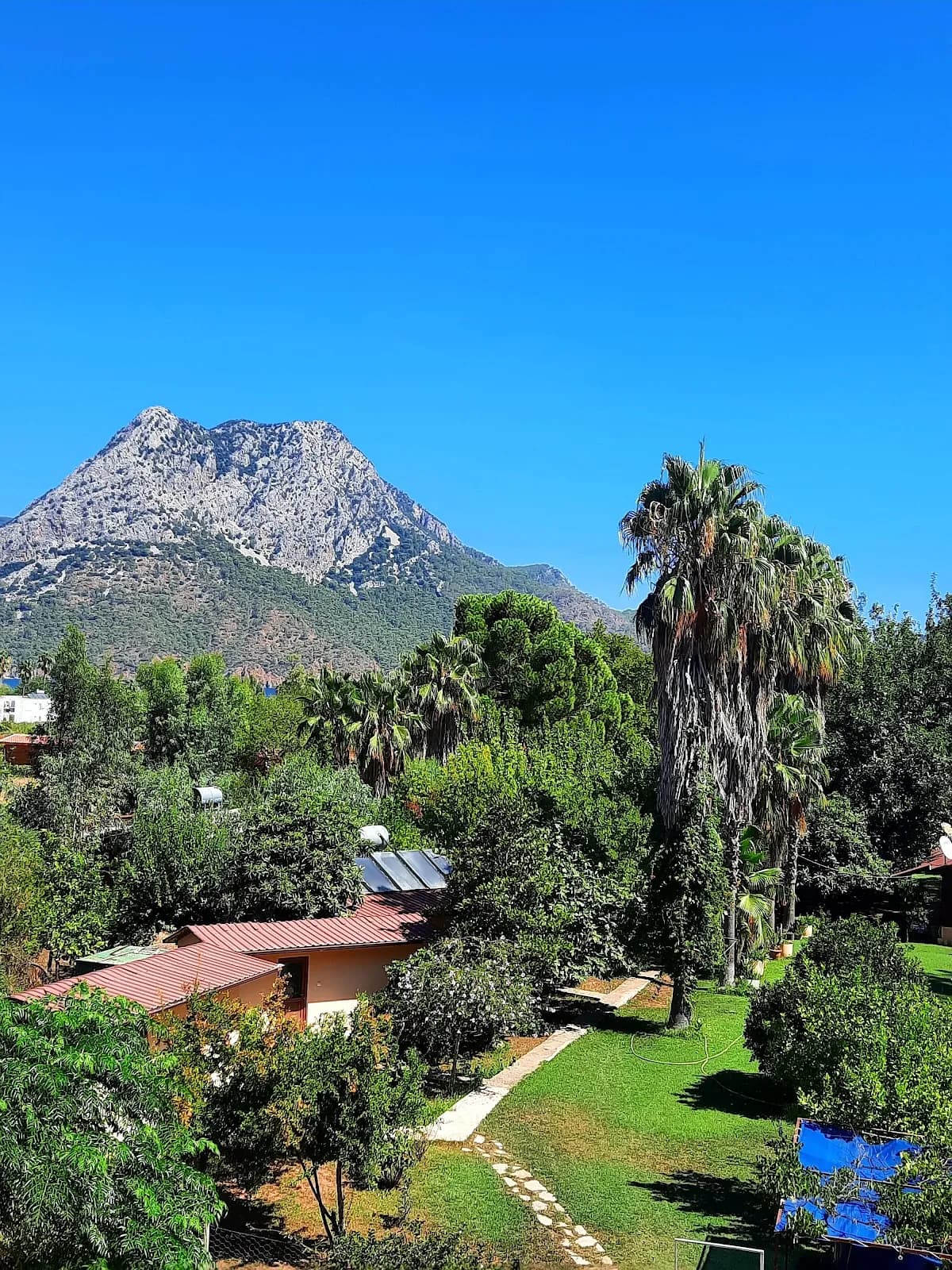 Buhana Hotel - photo 8