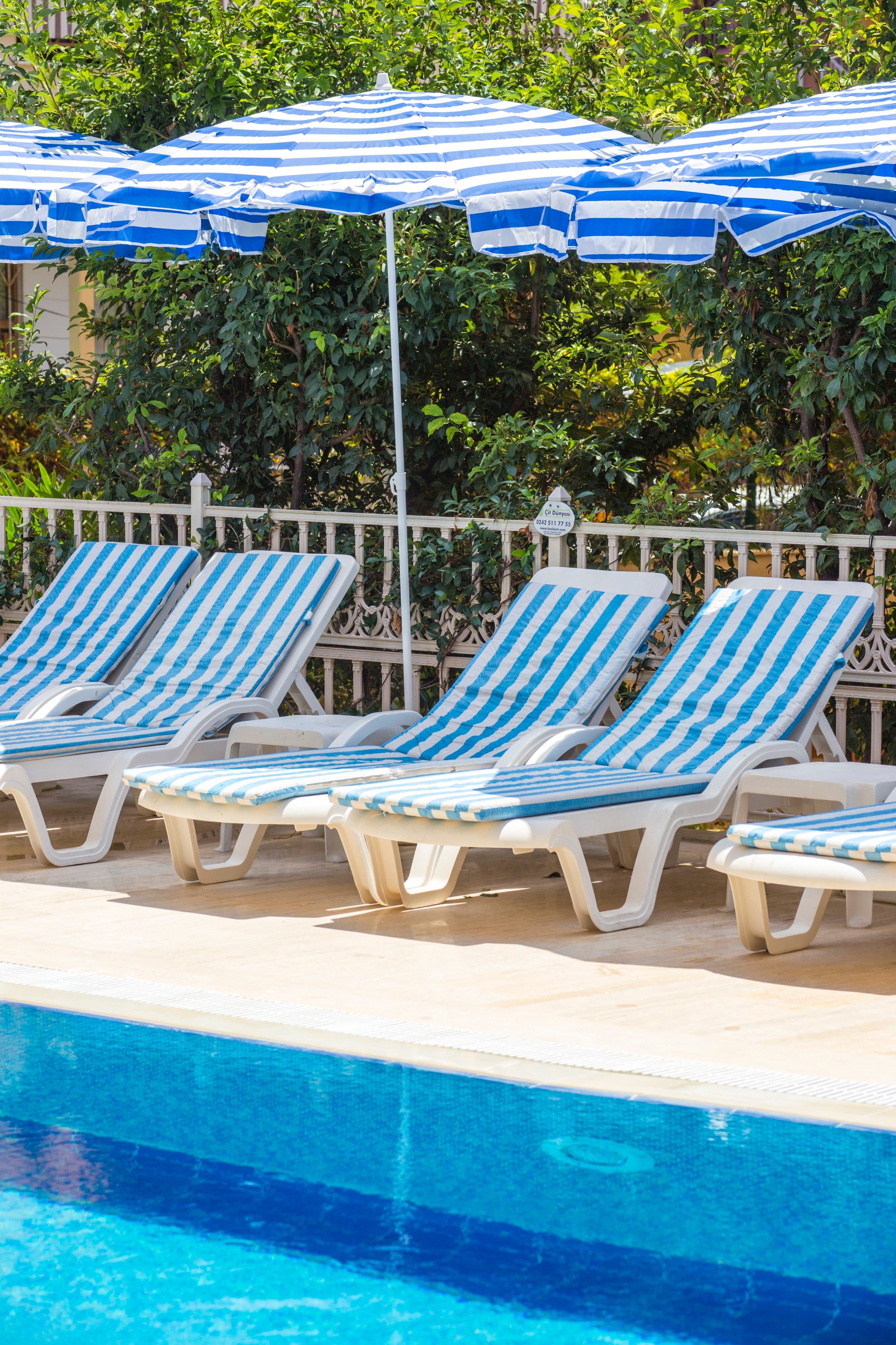 Lonicera City Hotel - photo 10