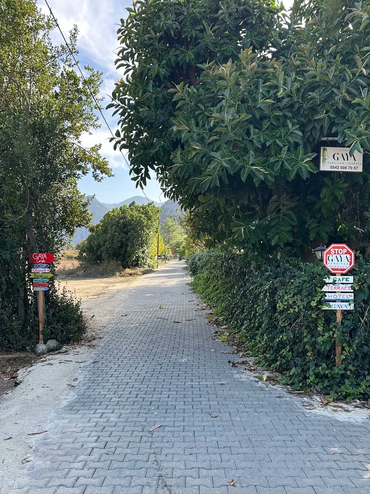 GAYA PANSİYON ÇIRALI - photo 6