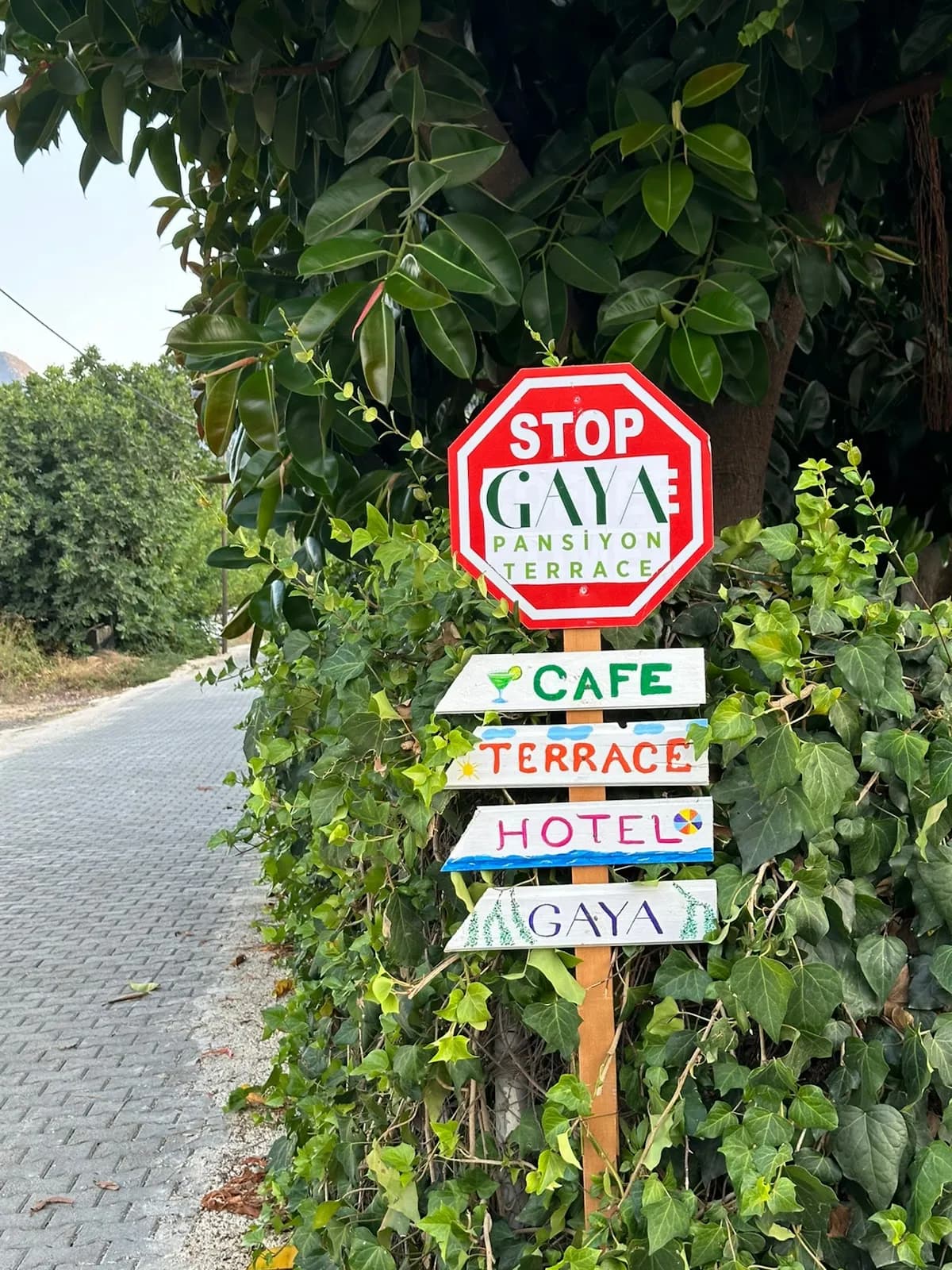 GAYA PANSİYON ÇIRALI - photo 8