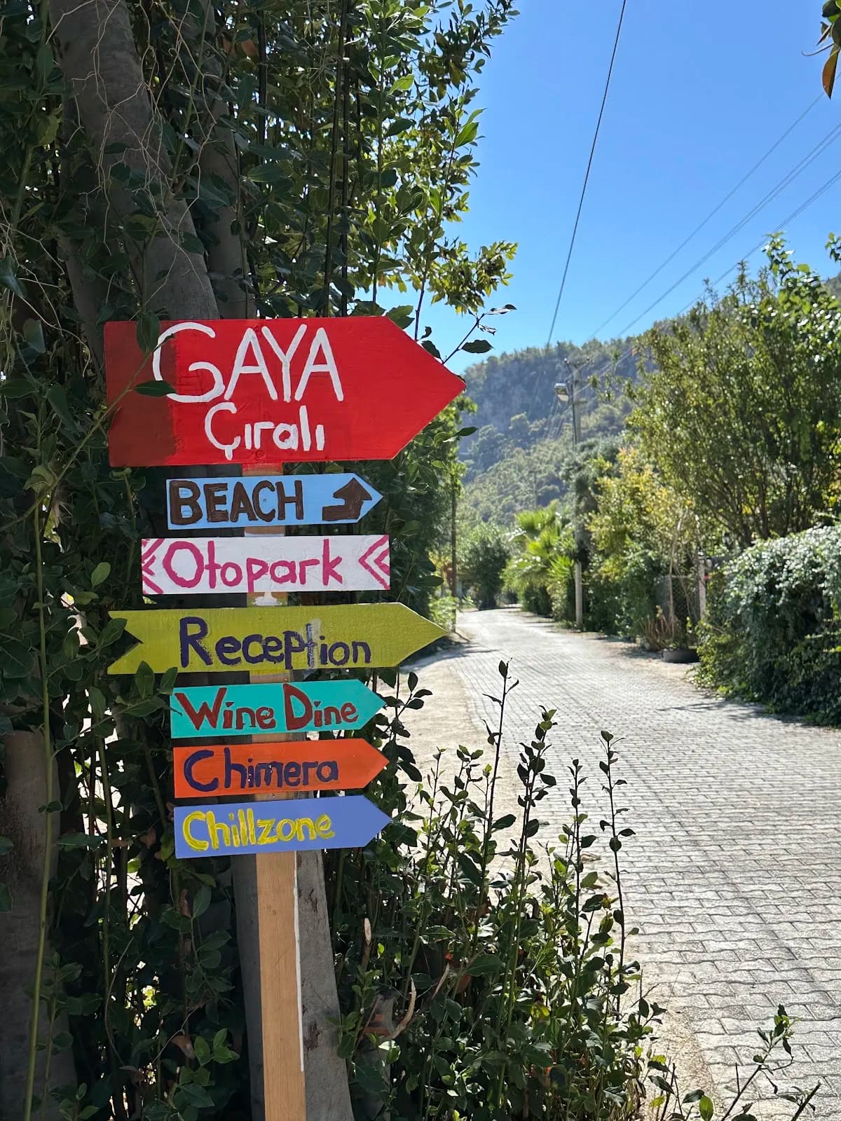 GAYA PANSİYON ÇIRALI - photo 10