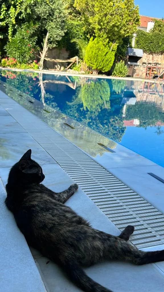 Jasmine Hotel - photo 5